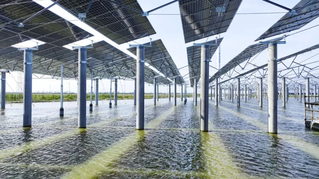 实力领航丨深圳安泰科再摘2025“光能杯”最具影响力光伏支架企业桂冠！(图7)